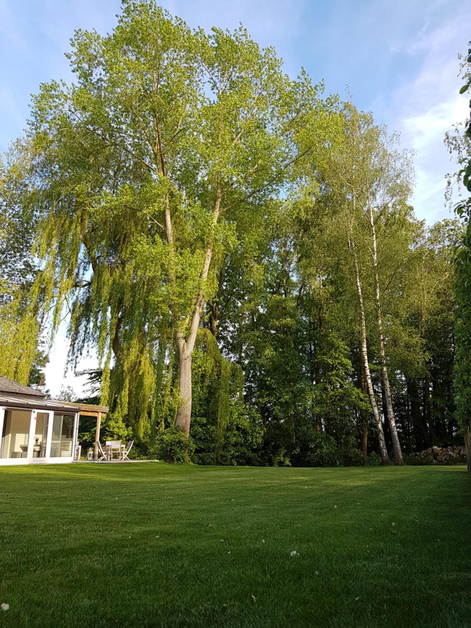 B&B Maison Kerkhove Buitenkant foto