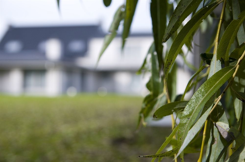 B&B Maison Kerkhove Buitenkant foto